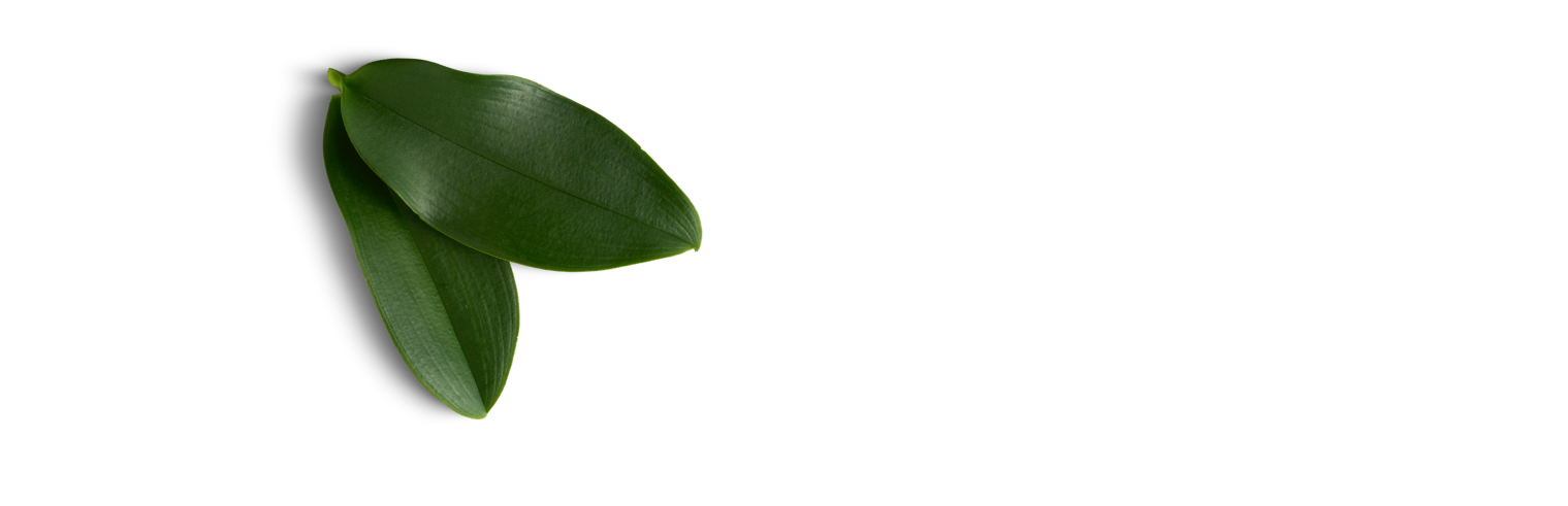 Home | 2022 leaf 2022