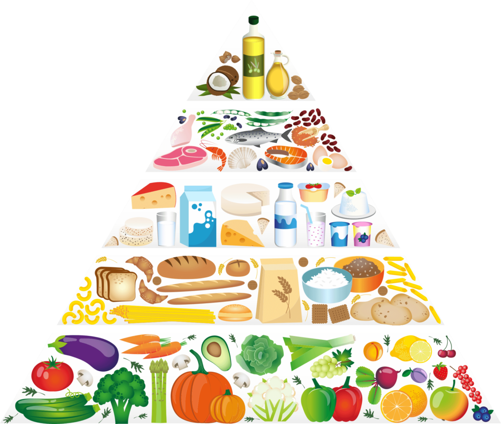 food-pyramid-healthy-meal-plan-healthy-meal-ideas-clinqon-india