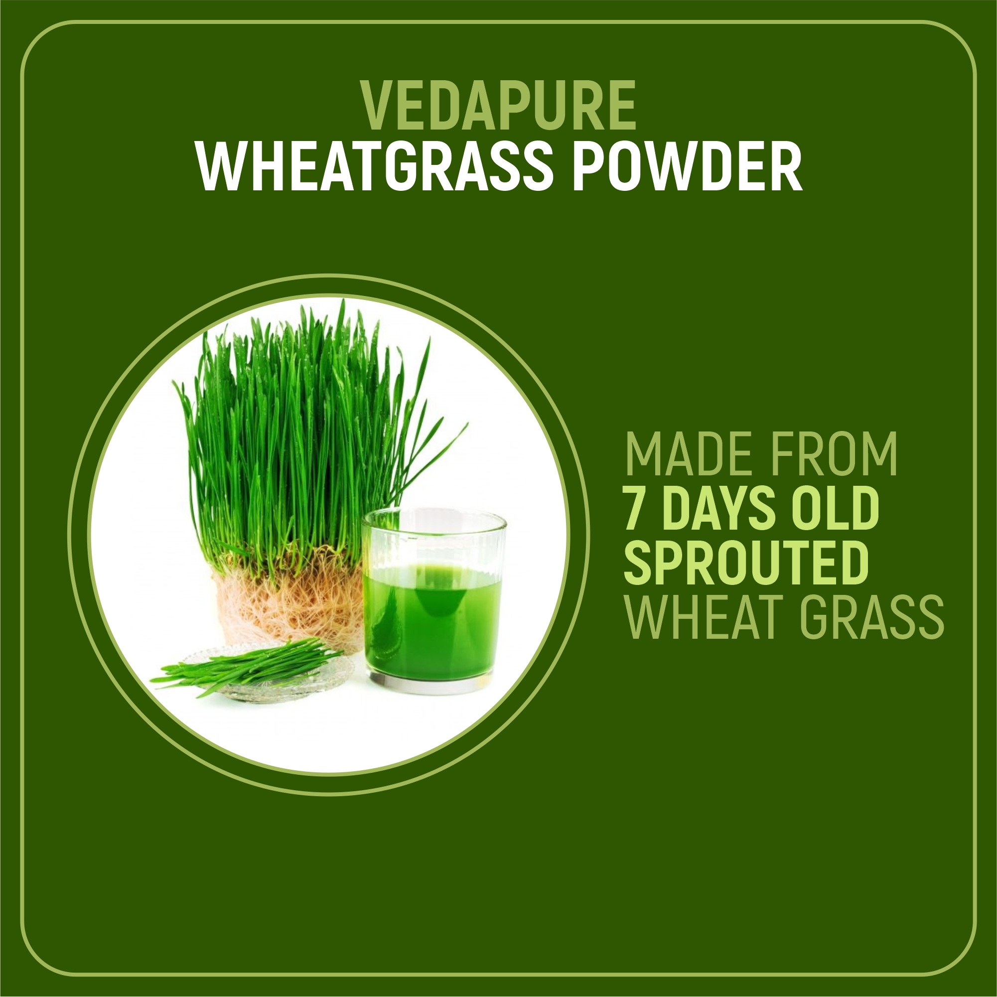 WheatgrassPowder5 2023